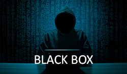 Pentesting Black Box